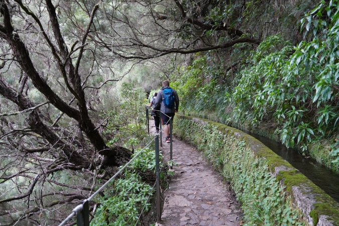 Madeira: A half-day hike to Risco and the 25 Fontes