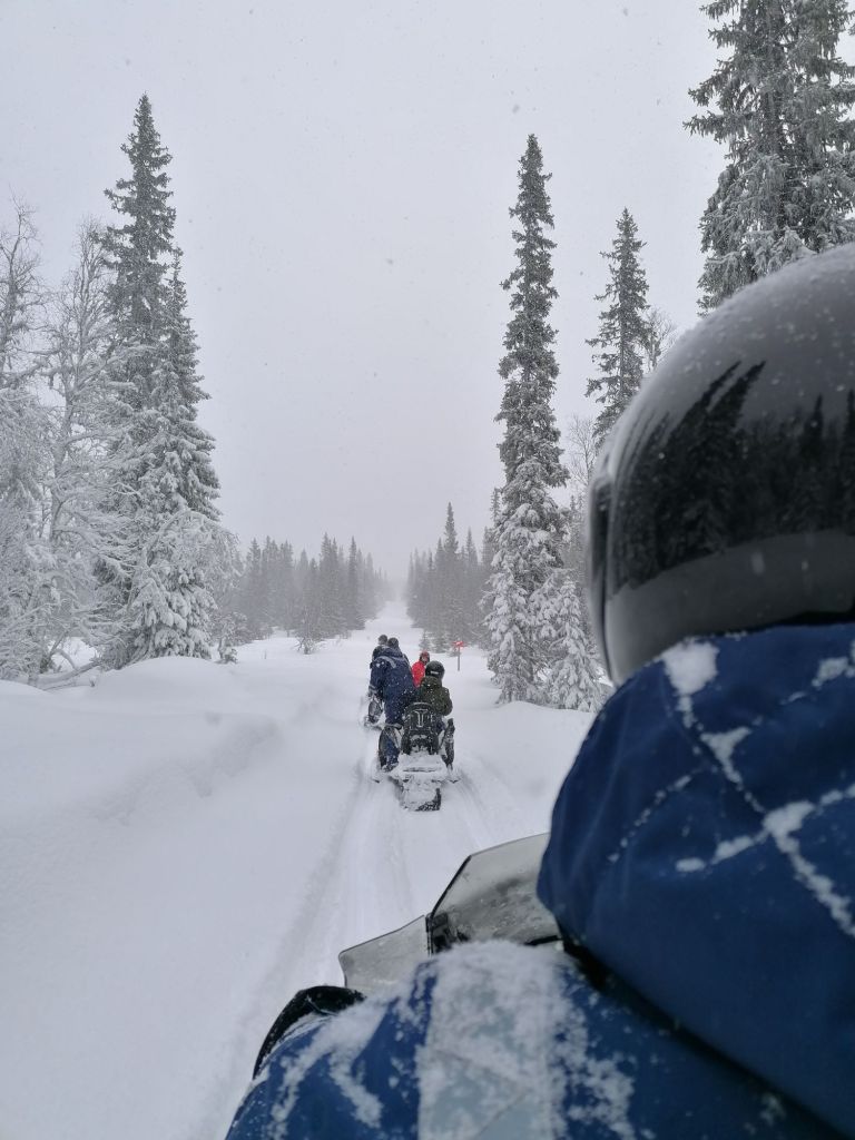 Snowscooter trip in Åre, Sweden