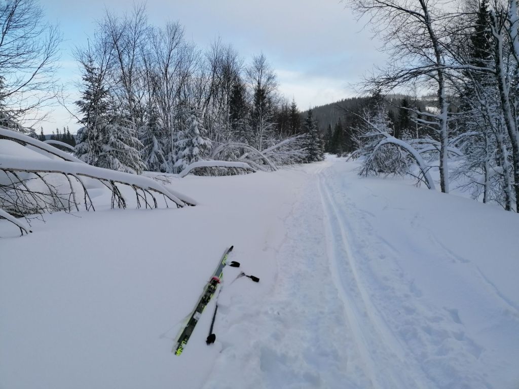 Cross-country skiing in Åre, Sweden