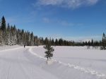 Cross-country skiing tracks near Björnen, Åre Sweden
